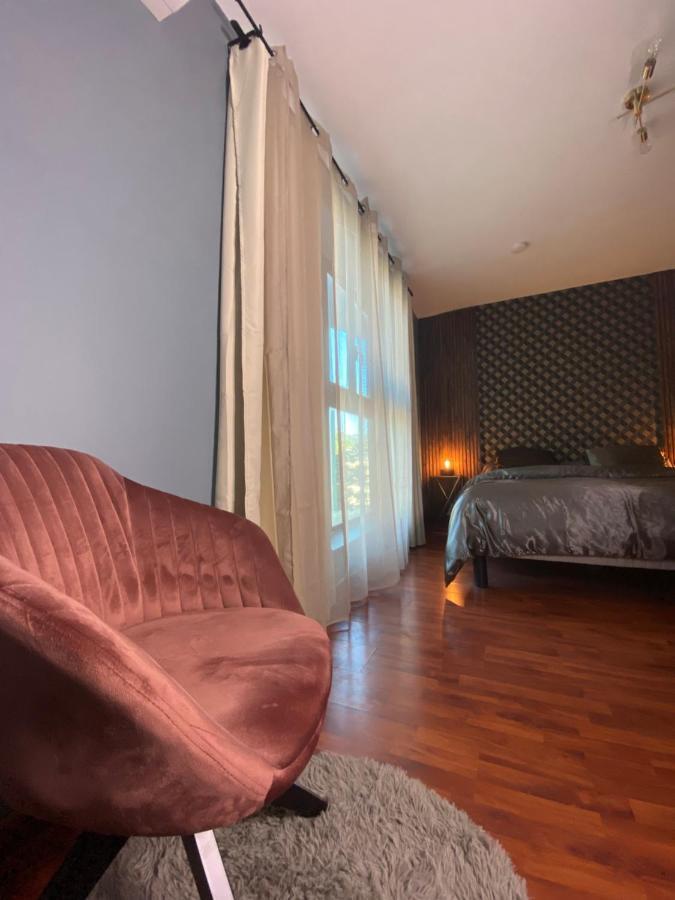 Апартаменты Loft Dionysien De Standing Сен-Дени Экстерьер фото